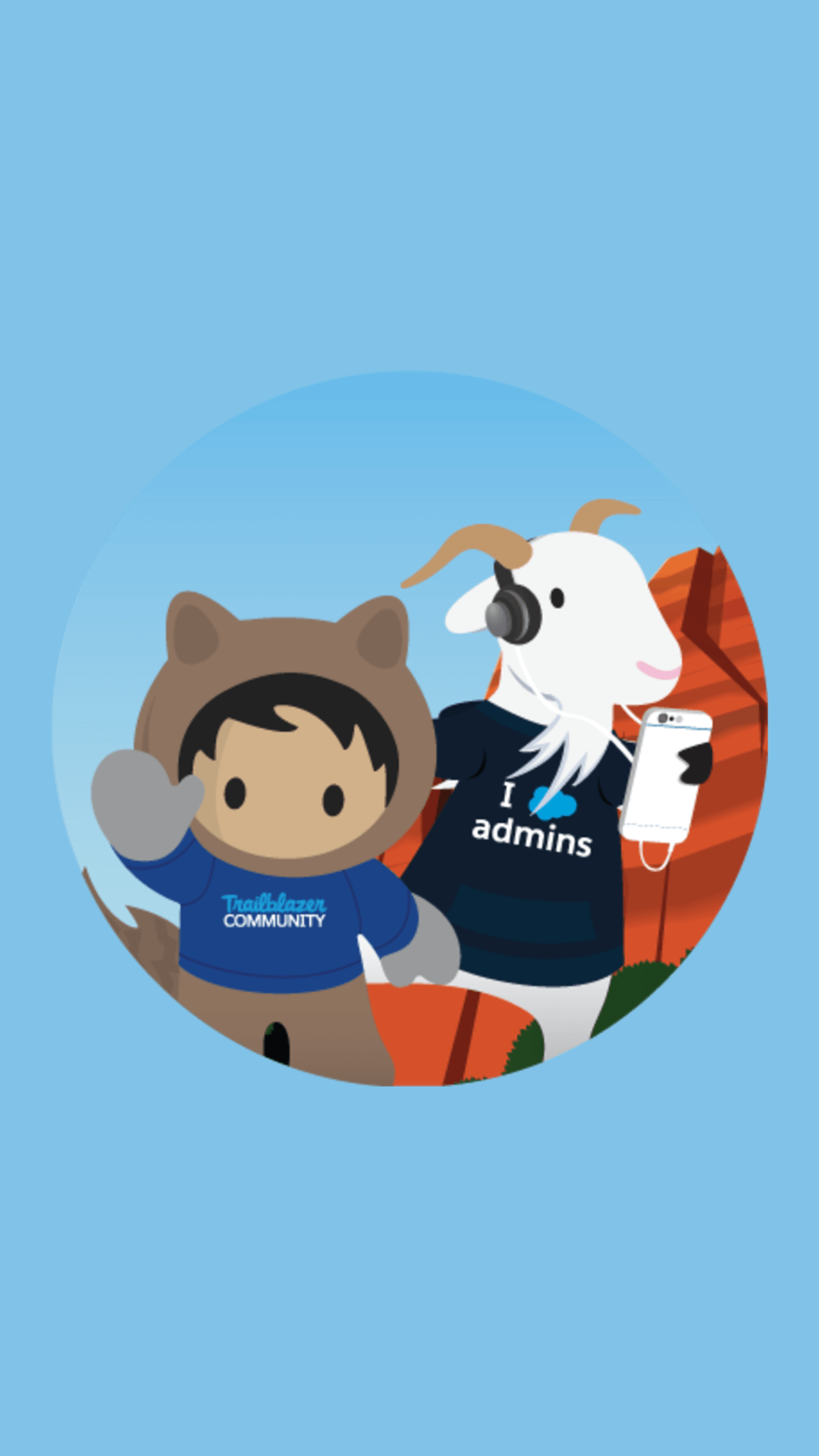 Salesforce Admin group  Colombo