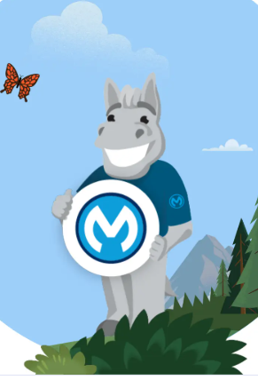 MuleSoft Meetup Group, Colombo